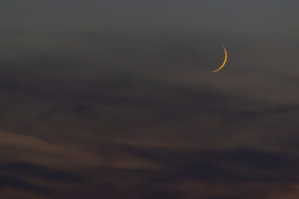 (© Jörg Reuther)